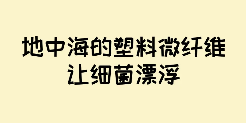地中海的塑料微纤维让细菌漂浮