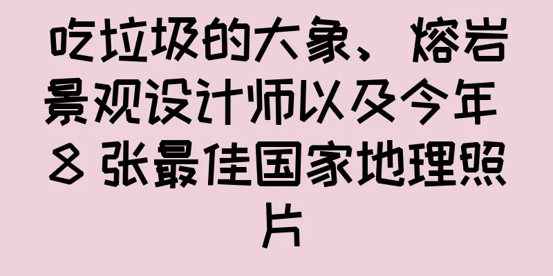 吃垃圾的大象、熔岩景观设计师以及今年 8 张最佳国家地理照片