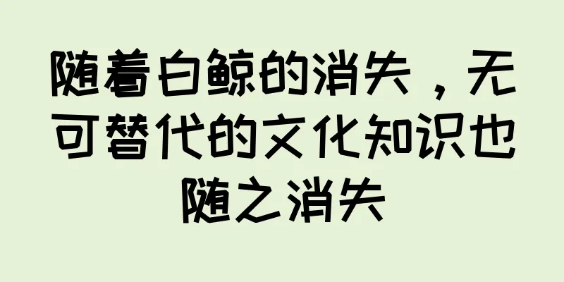随着白鲸的消失，无可替代的文化知识也随之消失