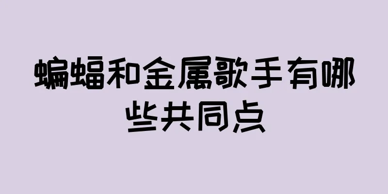 蝙蝠和金属歌手有哪些共同点