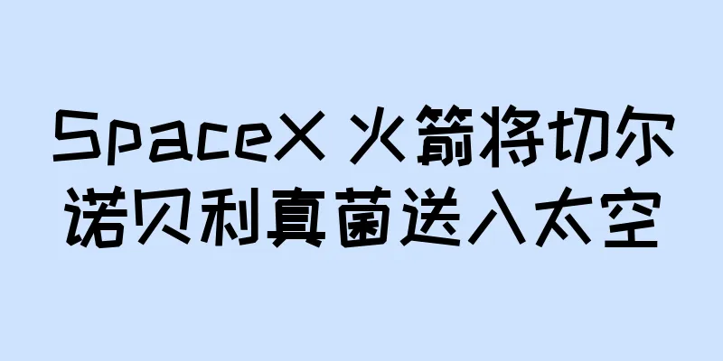 SpaceX 火箭将切尔诺贝利真菌送入太空