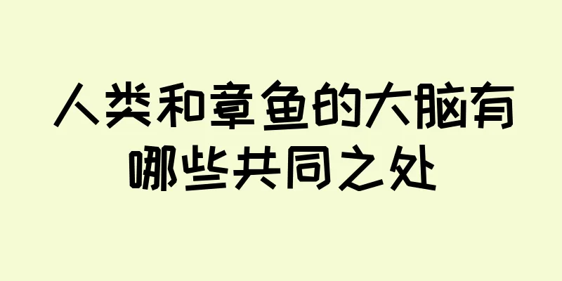 人类和章鱼的大脑有哪些共同之处