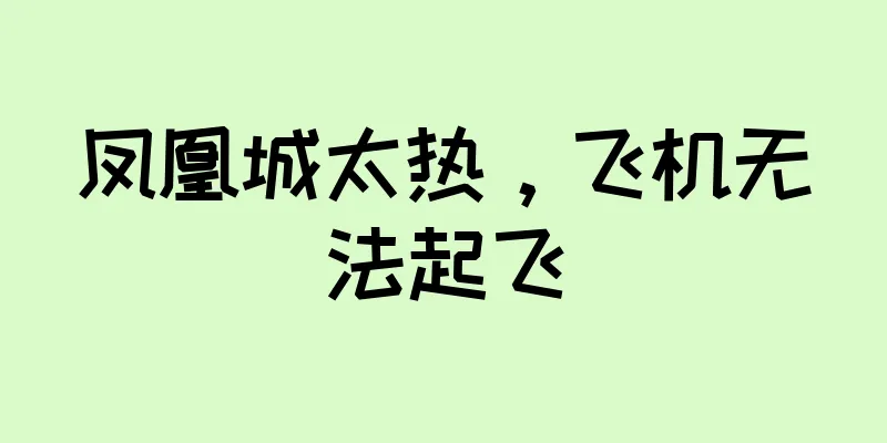 凤凰城太热，飞机无法起飞