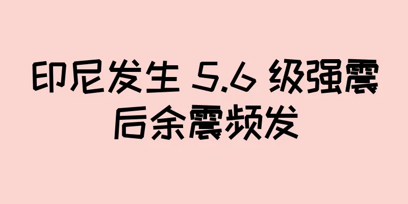 印尼发生 5.6 级强震后余震频发