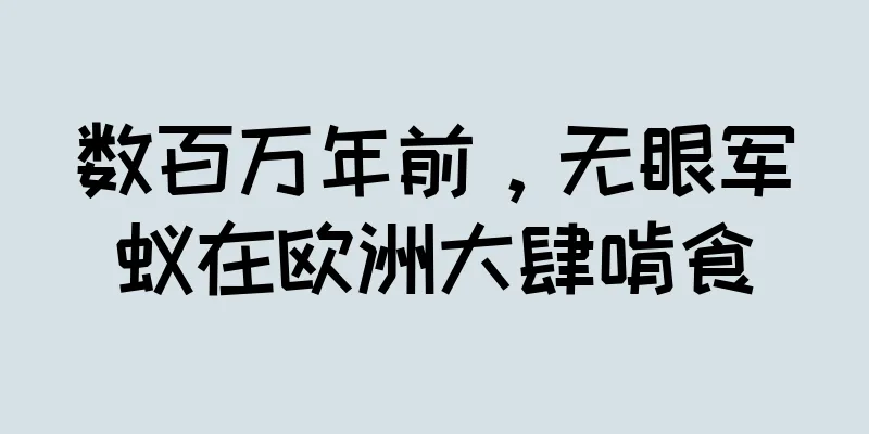 数百万年前，无眼军蚁在欧洲大肆啃食