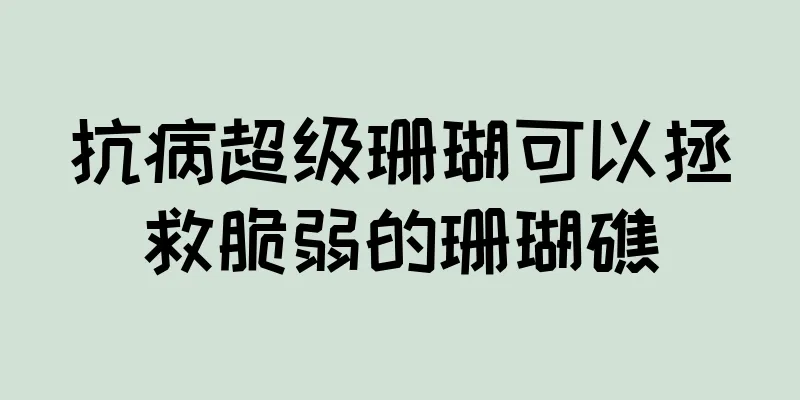 抗病超级珊瑚可以拯救脆弱的珊瑚礁