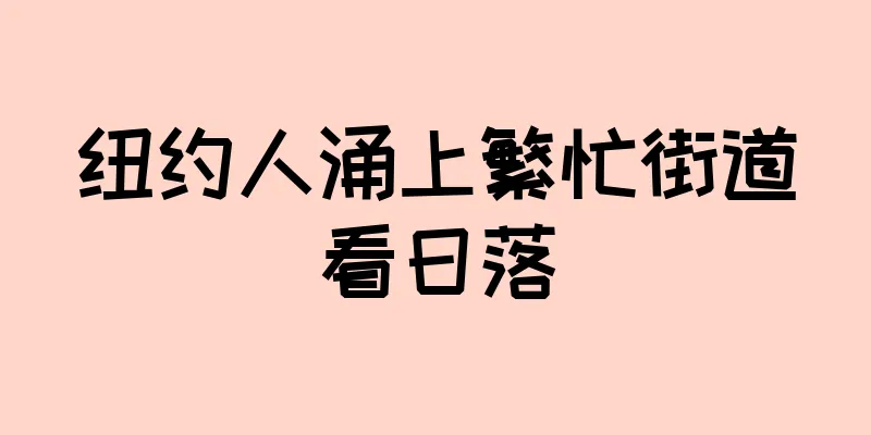 纽约人涌上繁忙街道看日落