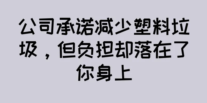 公司承诺减少塑料垃圾，但负担却落在了你身上