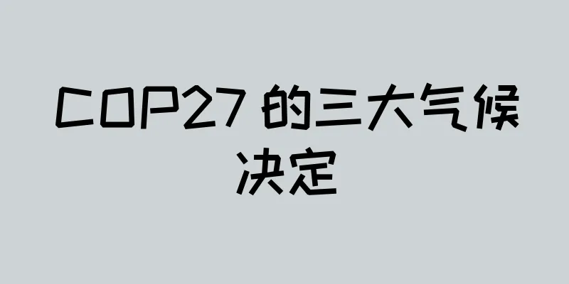 COP27 的三大气候决定