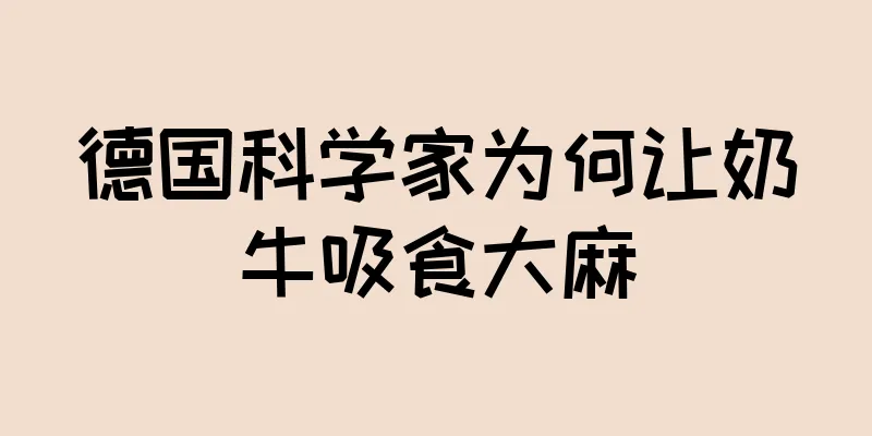 德国科学家为何让奶牛吸食大麻