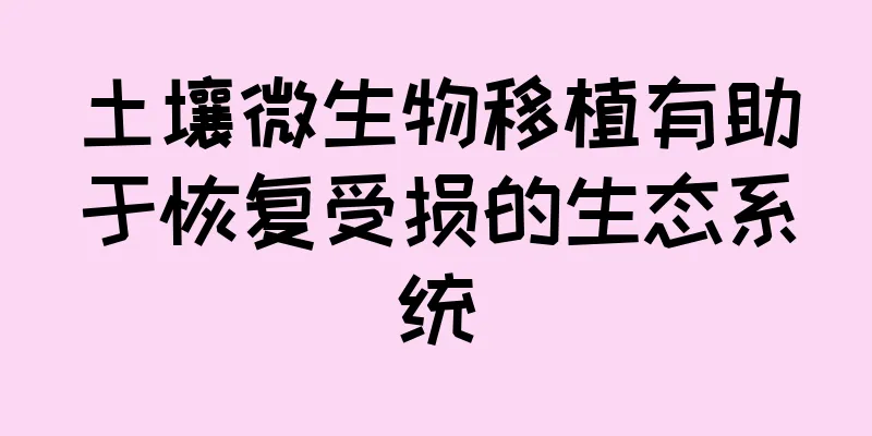 土壤微生物移植有助于恢复受损的生态系统
