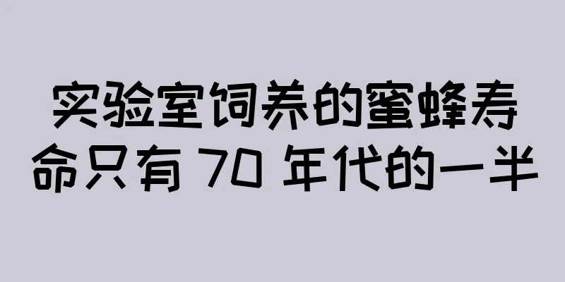 实验室饲养的蜜蜂寿命只有 70 年代的一半