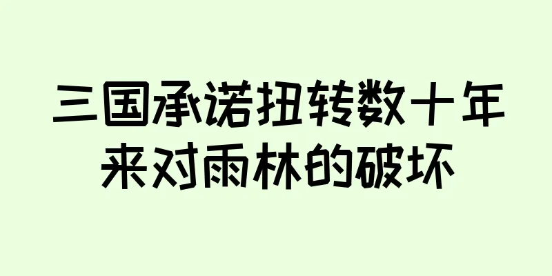 三国承诺扭转数十年来对雨林的破坏