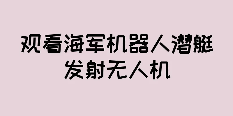 观看海军机器人潜艇发射无人机