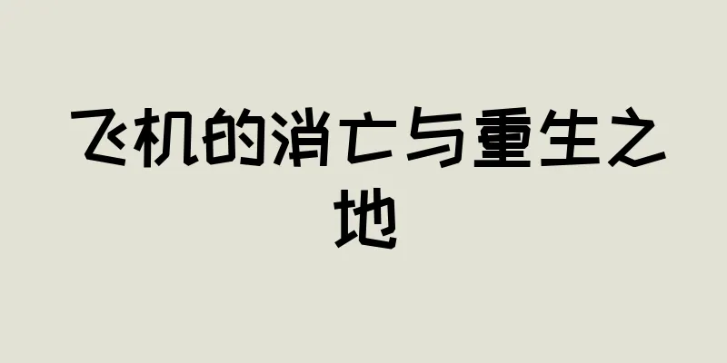 飞机的消亡与重生之地