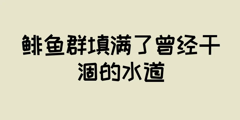 鲱鱼群填满了曾经干涸的水道