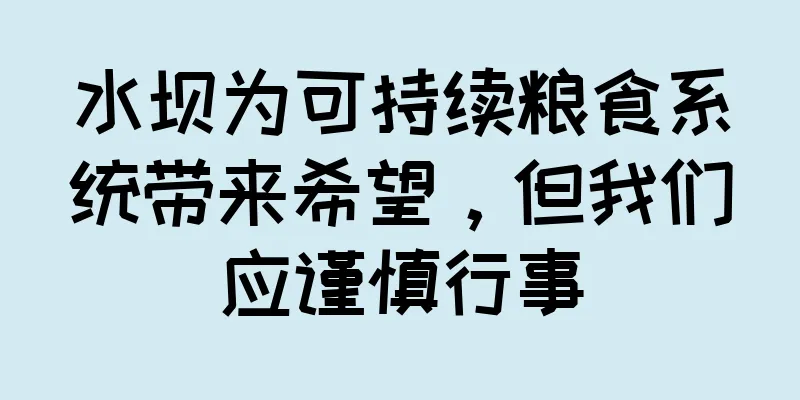 水坝为可持续粮食系统带来希望，但我们应谨慎行事