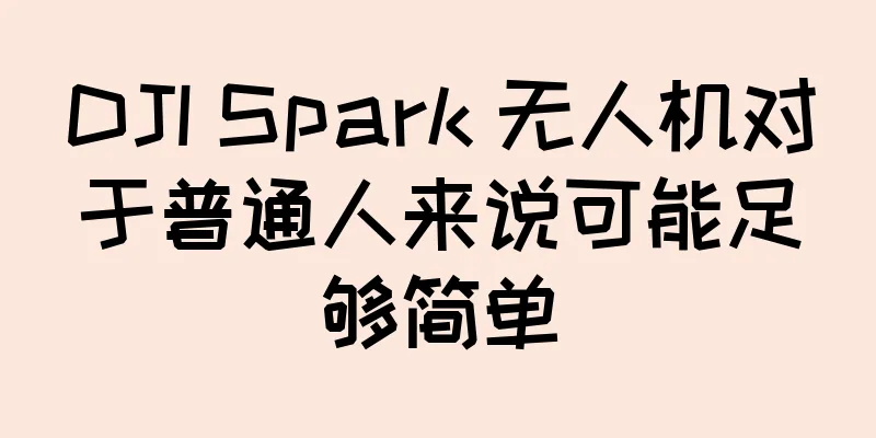 DJI Spark 无人机对于普通人来说可能足够简单