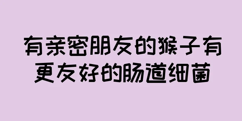 有亲密朋友的猴子有更友好的肠道细菌