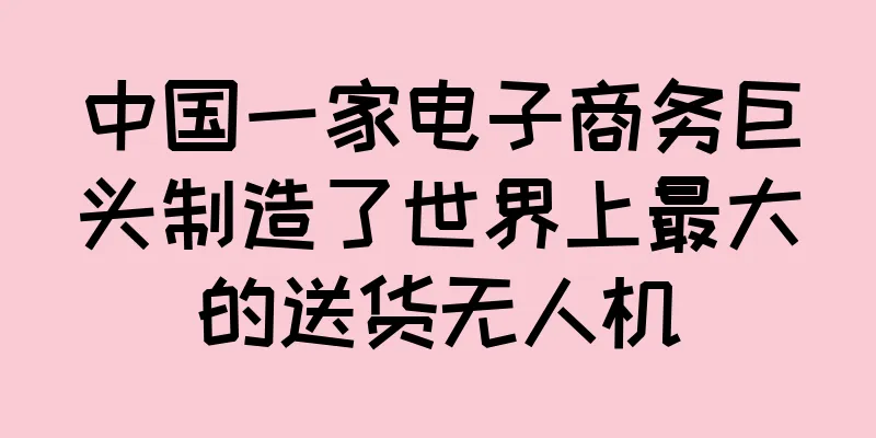 中国一家电子商务巨头制造了世界上最大的送货无人机