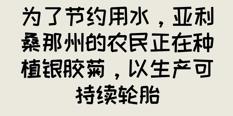为了节约用水，亚利桑那州的农民正在种植银胶菊，以生产可持续轮胎