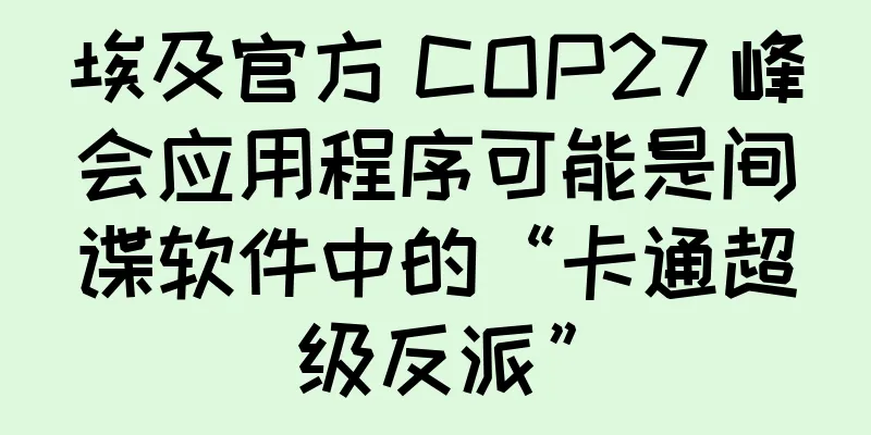 埃及官方 COP27 峰会应用程序可能是间谍软件中的“卡通超级反派”