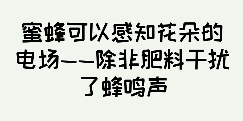 蜜蜂可以感知花朵的电场——除非肥料干扰了蜂鸣声
