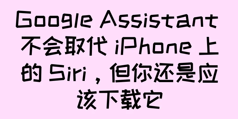 Google Assistant 不会取代 iPhone 上的 Siri，但你还是应该下载它