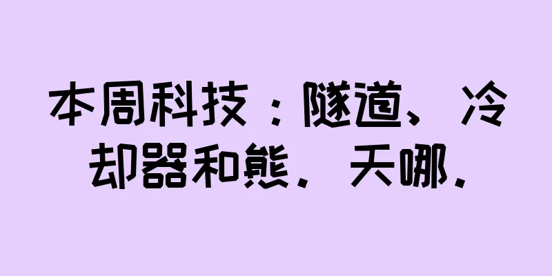 本周科技：隧道、冷却器和熊。天哪。