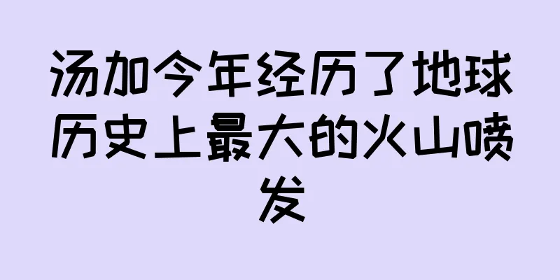汤加今年经历了地球历史上最大的火山喷发