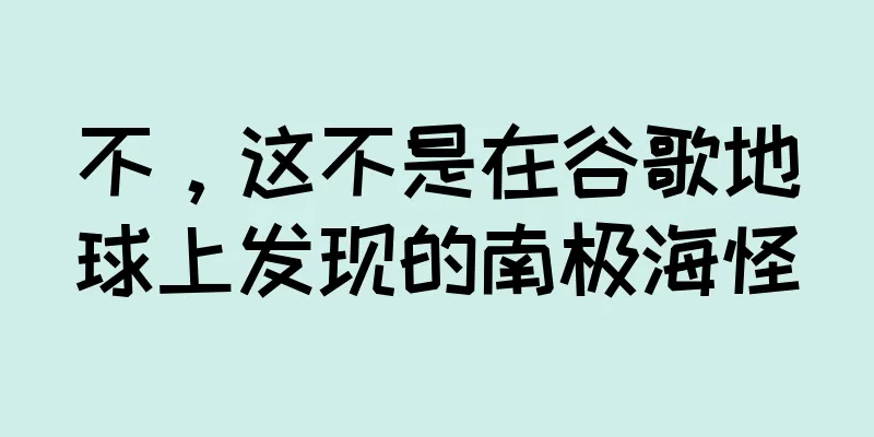 不，这不是在谷歌地球上发现的南极海怪