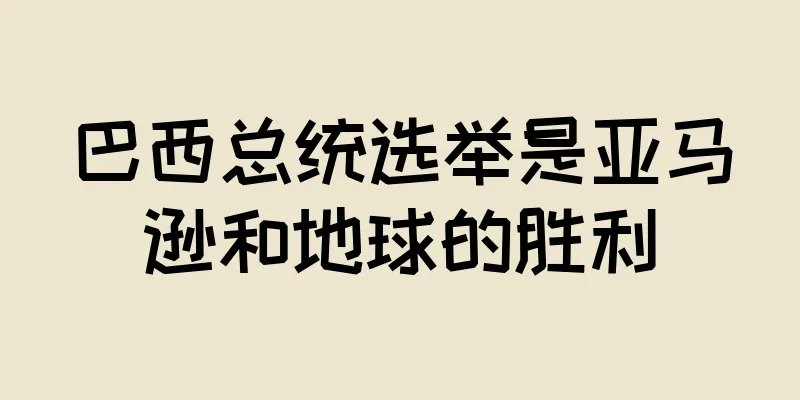 巴西总统选举是亚马逊和地球的胜利