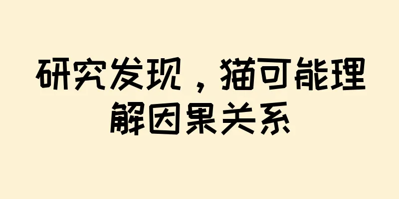 研究发现，猫可能理解因果关系