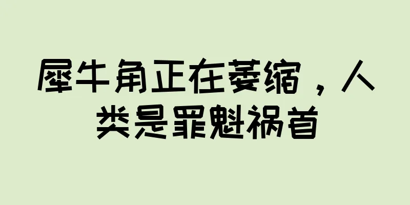 犀牛角正在萎缩，人类是罪魁祸首