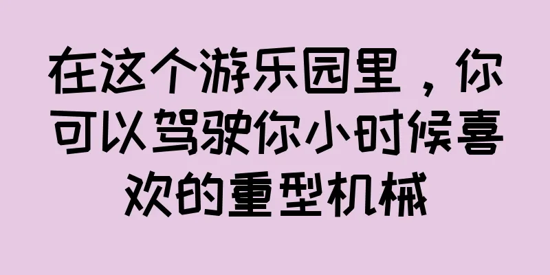 在这个游乐园里，你可以驾驶你小时候喜欢的重型机械