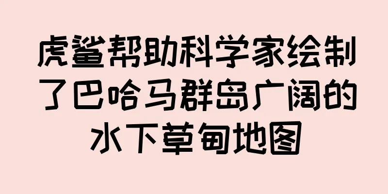 虎鲨帮助科学家绘制了巴哈马群岛广阔的水下草甸地图