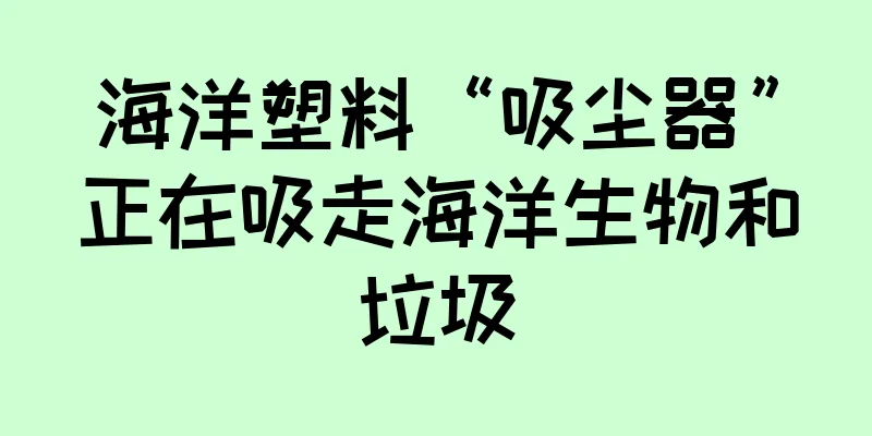 海洋塑料“吸尘器”正在吸走海洋生物和垃圾
