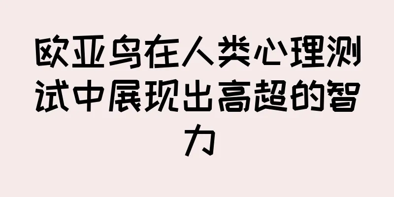 欧亚鸟在人类心理测试中展现出高超的智力