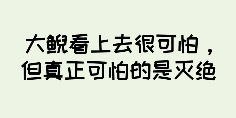 大鲵看上去很可怕，但真正可怕的是灭绝