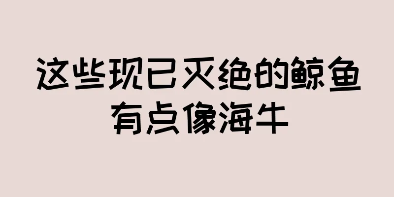 这些现已灭绝的鲸鱼有点像海牛
