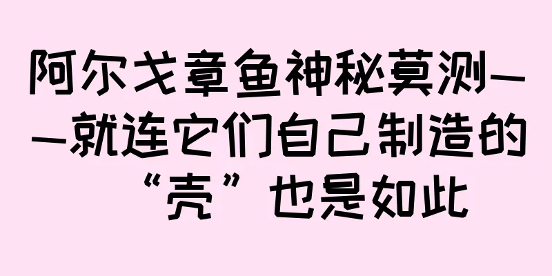 阿尔戈章鱼神秘莫测——就连它们自己制造的“壳”也是如此