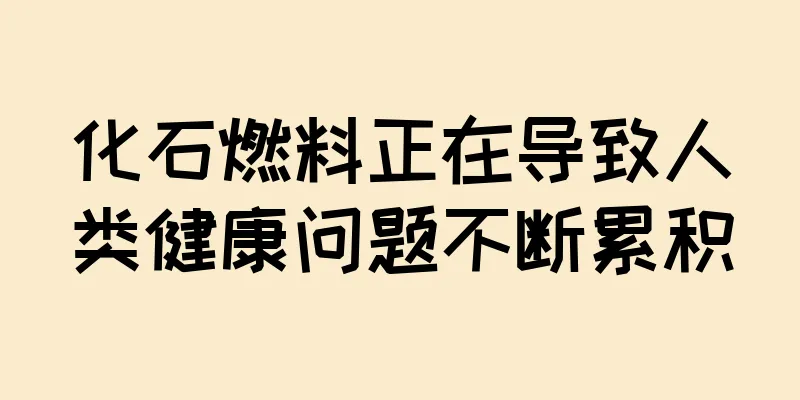 化石燃料正在导致人类健康问题不断累积
