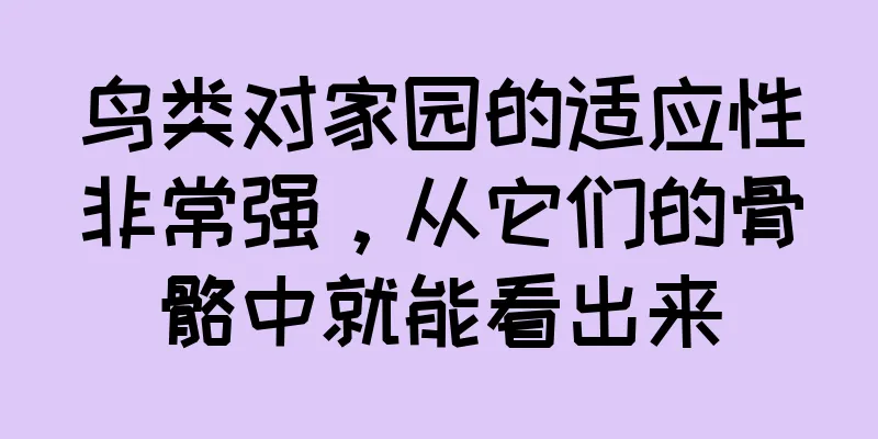 鸟类对家园的适应性非常强，从它们的骨骼中就能看出来