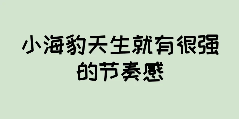 小海豹天生就有很强的节奏感