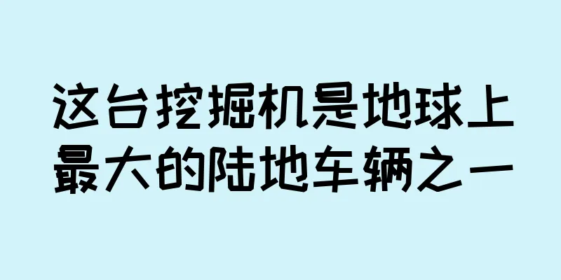 这台挖掘机是地球上最大的陆地车辆之一