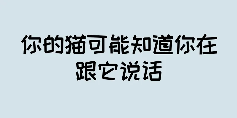 你的猫可能知道你在跟它说话