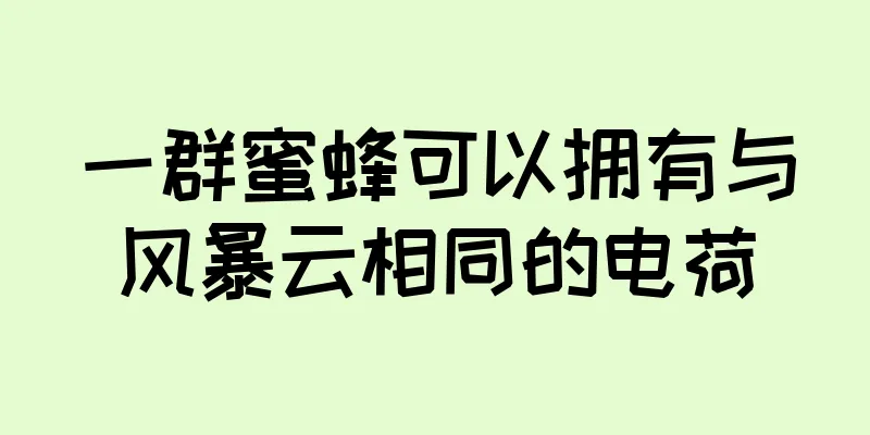 一群蜜蜂可以拥有与风暴云相同的电荷