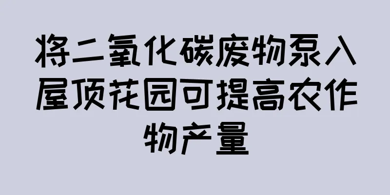 将二氧化碳废物泵入屋顶花园可提高农作物产量