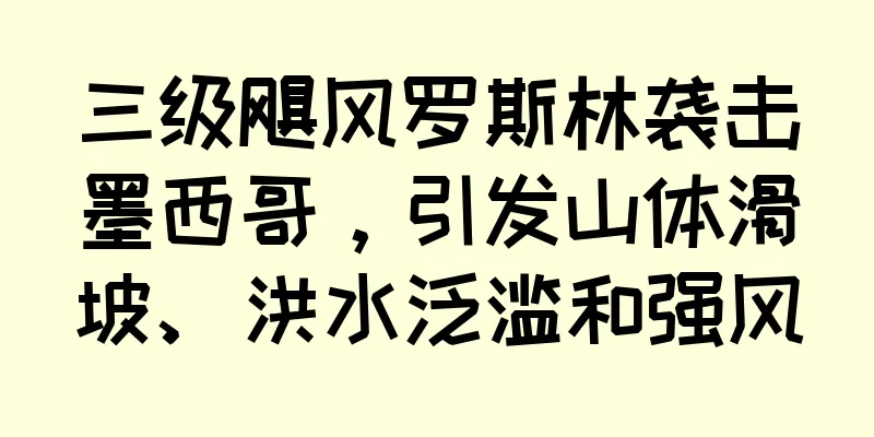 三级飓风罗斯林袭击墨西哥，引发山体滑坡、洪水泛滥和强风