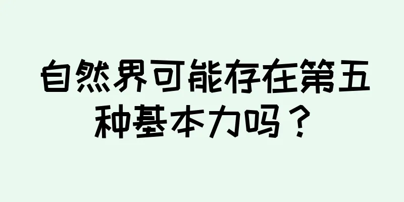 自然界可能存在第五种基本力吗？